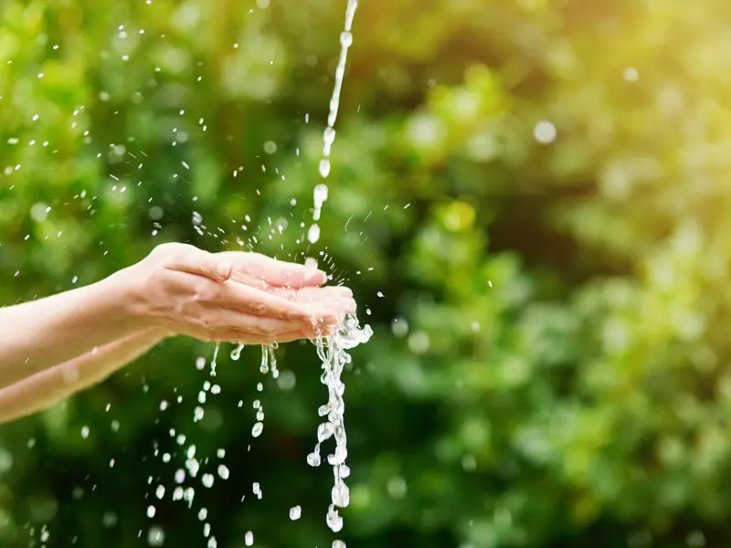 Händer fångar upp vattenstråle ute i grönska.